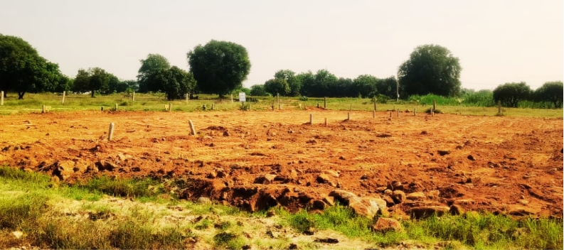 Serene County Phase 1